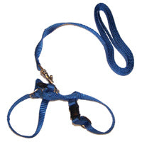 Marshall ferret shop harness