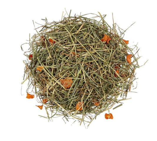 Hay with Carrot - 500g - Witte Molen Country Blossom Hay For Herbivores