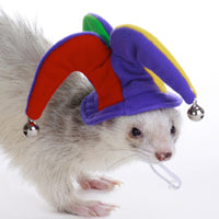 Jester Hat - Marshall Ferret Fashions Headwear