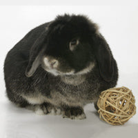 Peters Bunny Chew Ball - Vine Woven